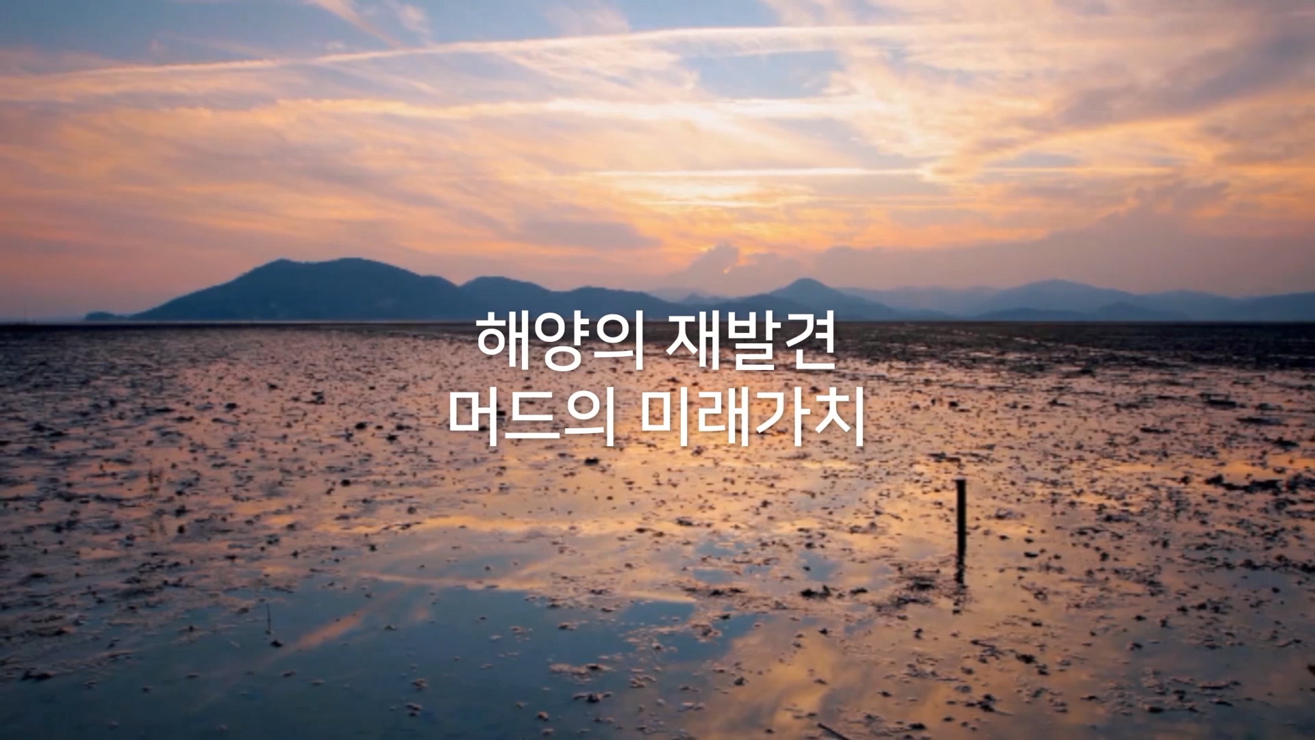 해양의 재발견 머드의 미래가치 '2022 보령해양머드박람회'